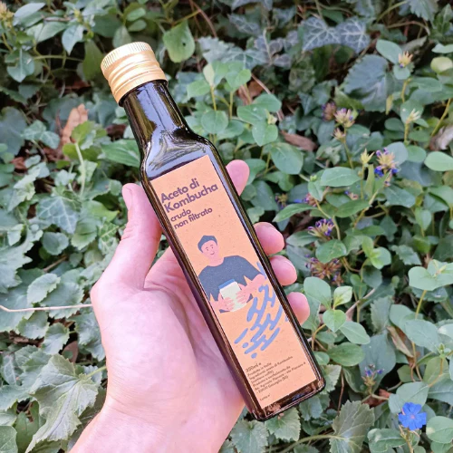 Aceto di kombucha artigianale crudo non filtrato - Image 2